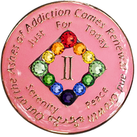 NA Coin, #N20. Pink NA Medallion w Rainbow Bling (Yrs 1-45)