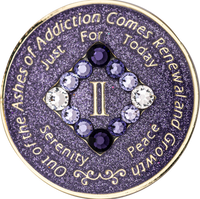 NA Coin, #N23.  Glitter Lavender NA Chip  w Purple Trans (Yrs 1-45)