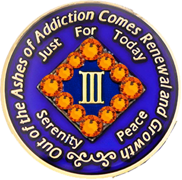 NA Blue with Orange Knicks Coin - Recovery Medallion from Choices Books & Gifts