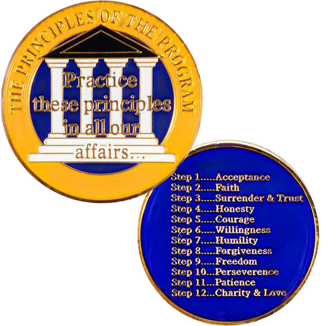 Principles, Yellow Blue Pillar Coin - Recovery Medallion from Choices Books & Gifts