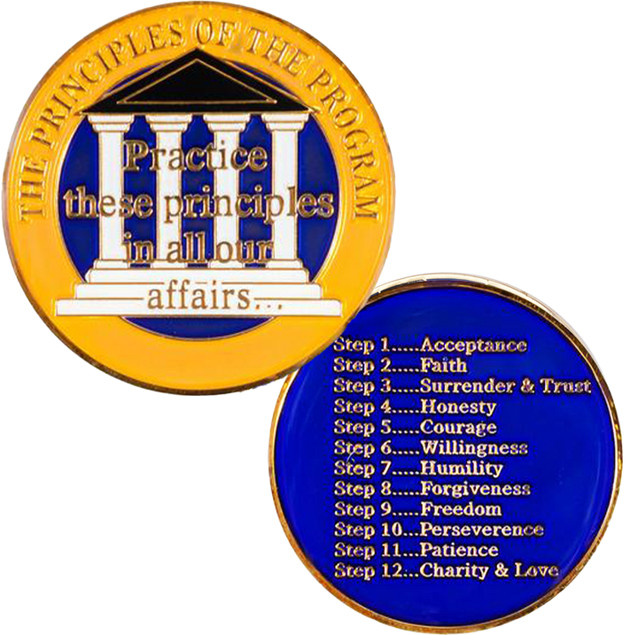 Principles, Yellow Blue Pillar Coin - Recovery Medallion from Choices Books & Gifts