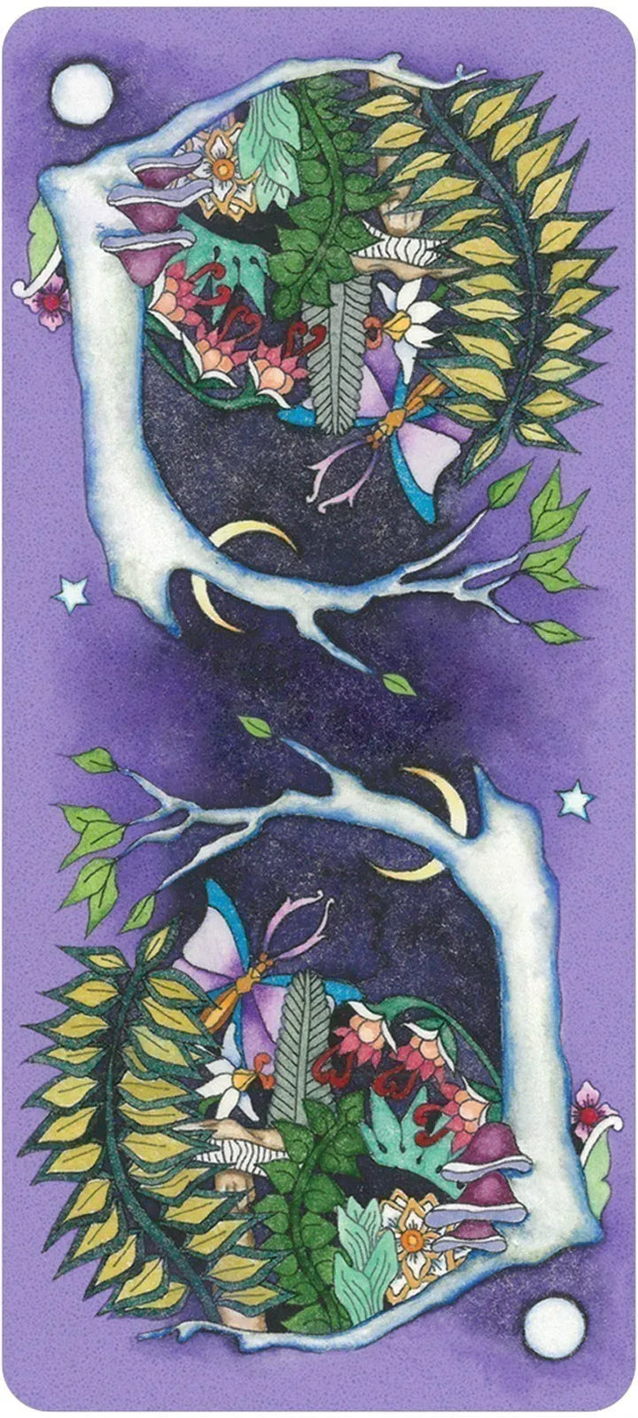 Tarot: Tarot of a Moon Garden Borderless Deck & Book Set