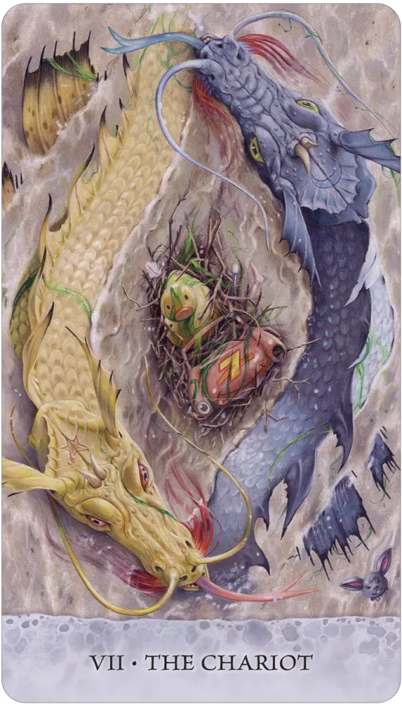 Tarot: Tides Adventures of a Duck Bob - Choices Books & Gifts
