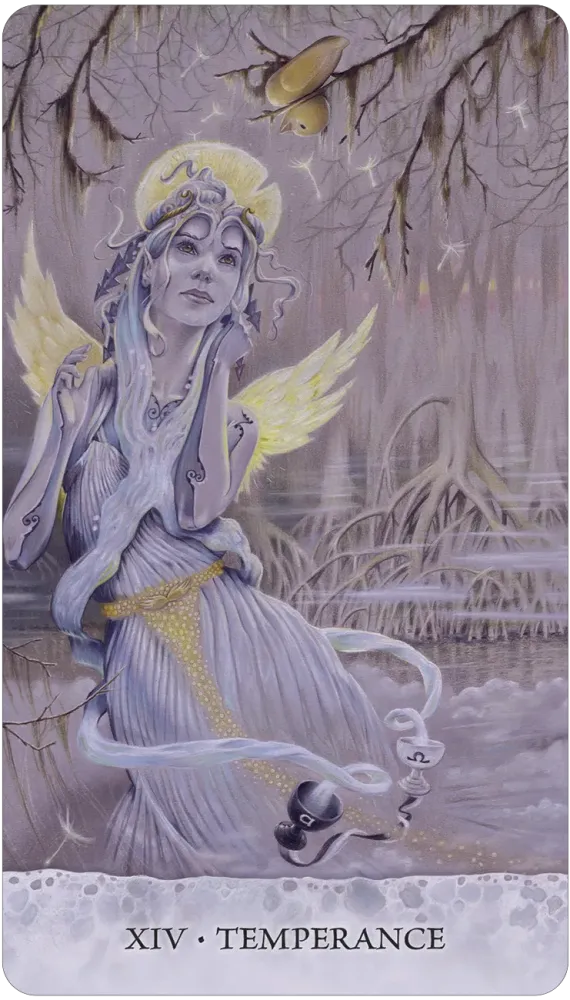 Tarot of Tides: The Adventures of a Duck Named Bob
