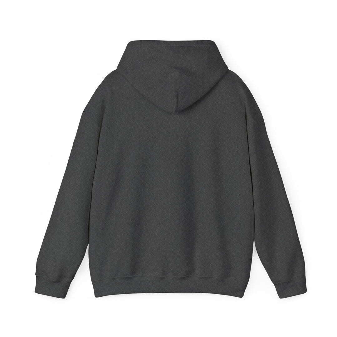 V11. Friends of Bill Hoodie. Many Colors Available.