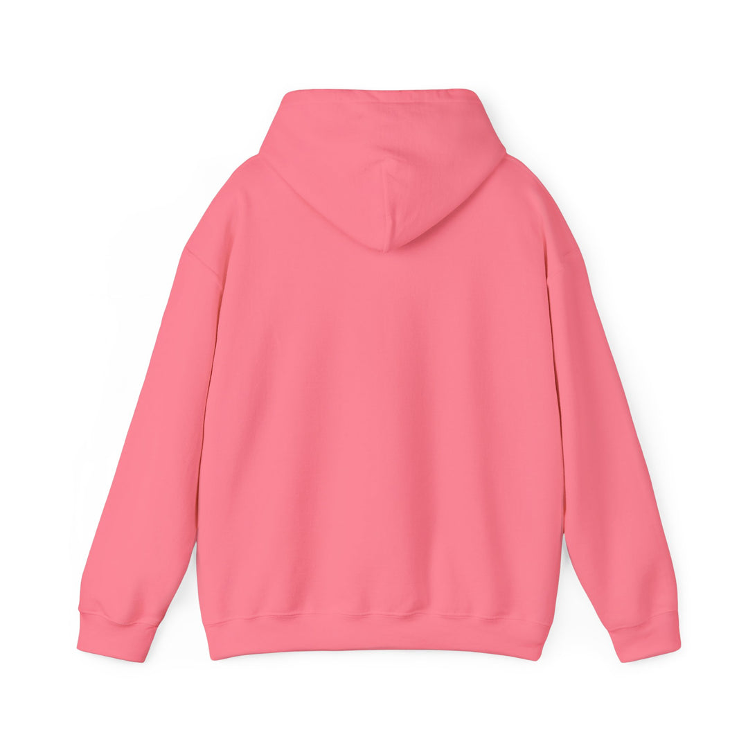 V15. Friends of Bill Hoodie. Many Colors Available.
