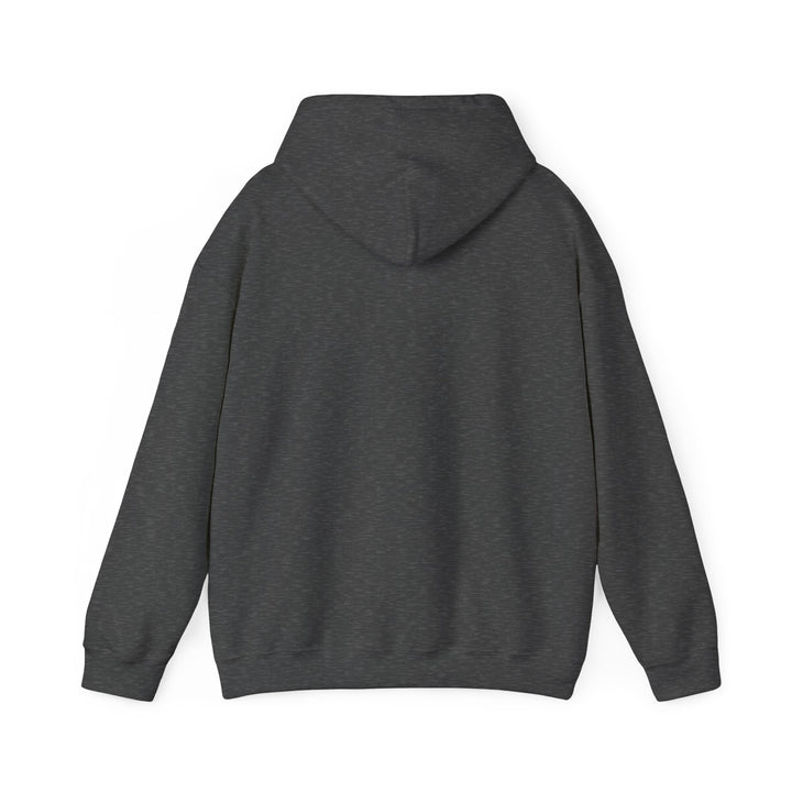 V15. Friends of Bill Hoodie. Many Colors Available.