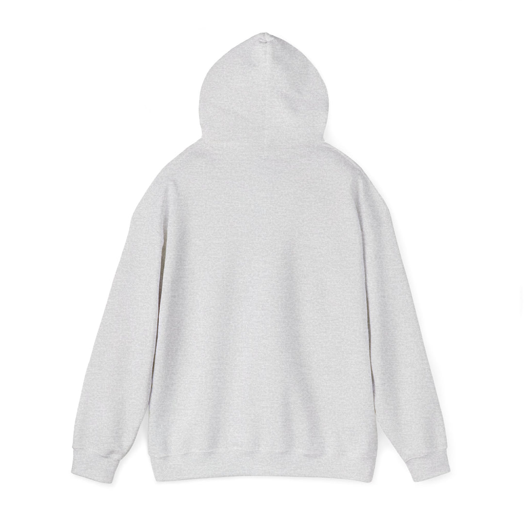 V16. Detroit Hoodie. Many Colors Available.