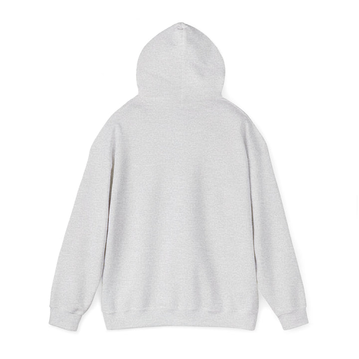 V16. Detroit Hoodie. Many Colors Available.