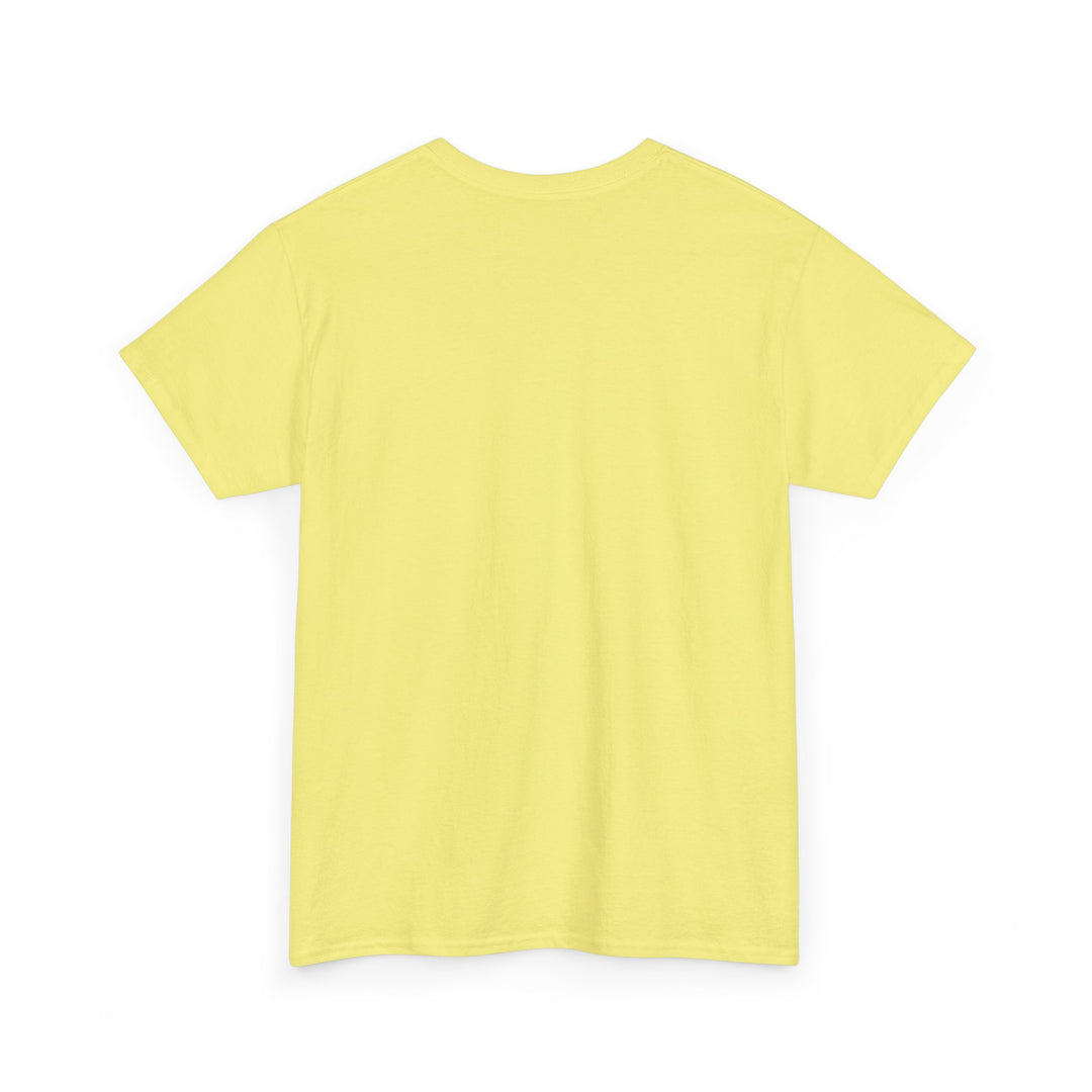 V20b. Sober T-shirt . Many Colors Available.