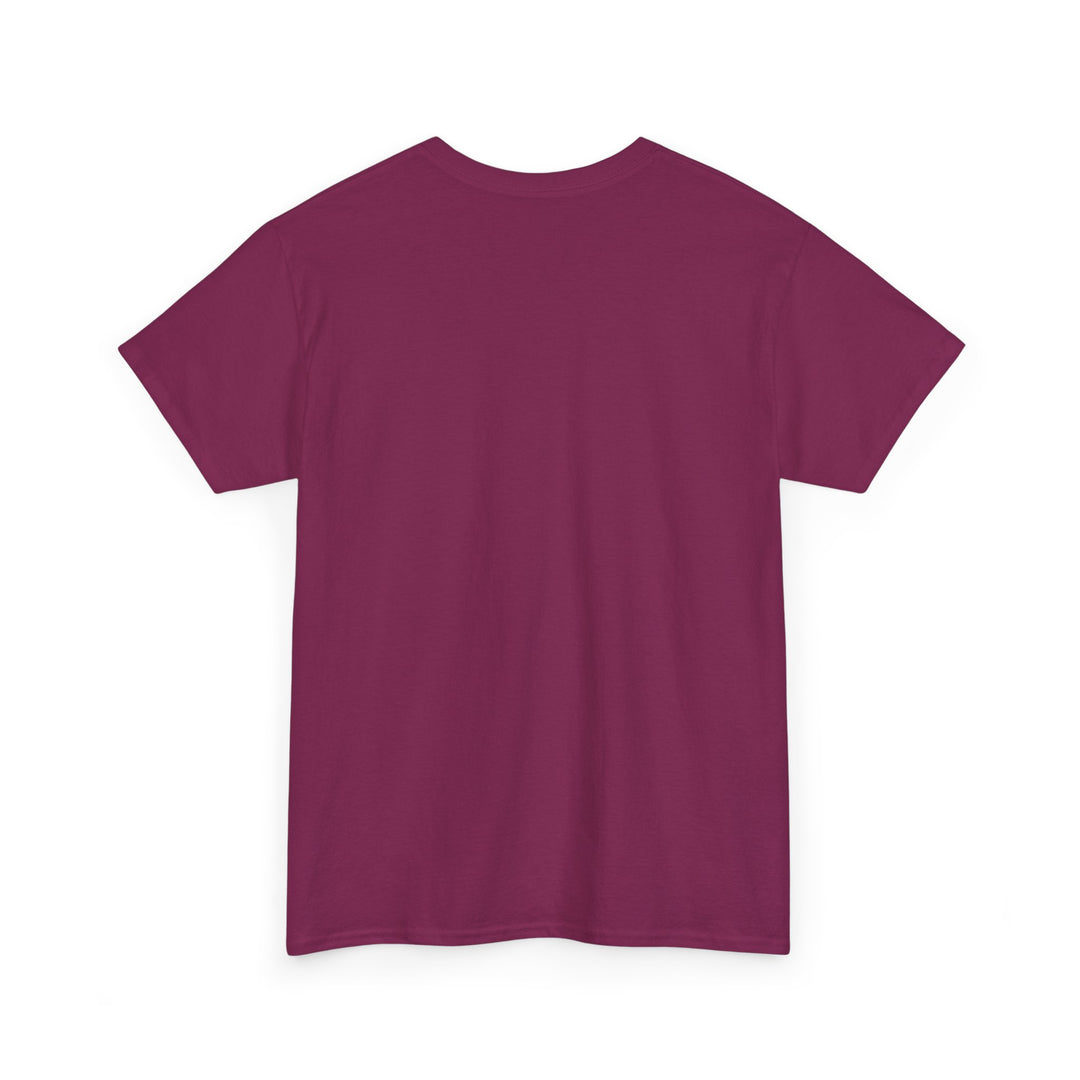 V20b. Sober T-shirt . Many Colors Available.