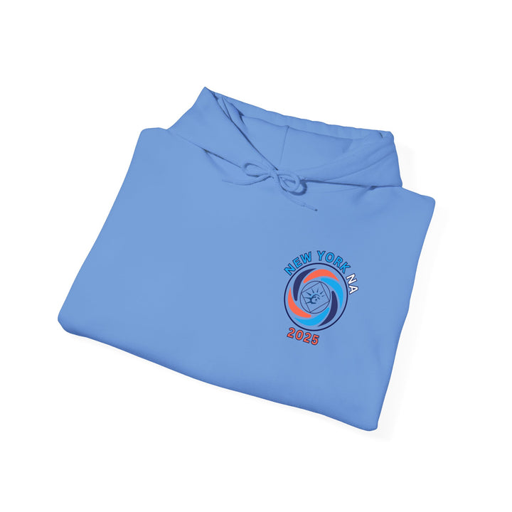 V63. NY NA Hoodie. Many Colors Available.