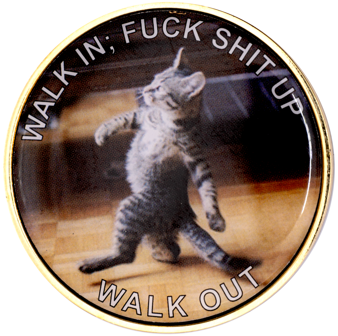 Walk In Walk Out Cat, Print Version Coin - Recovery Medallion from Choices Books & Gifts