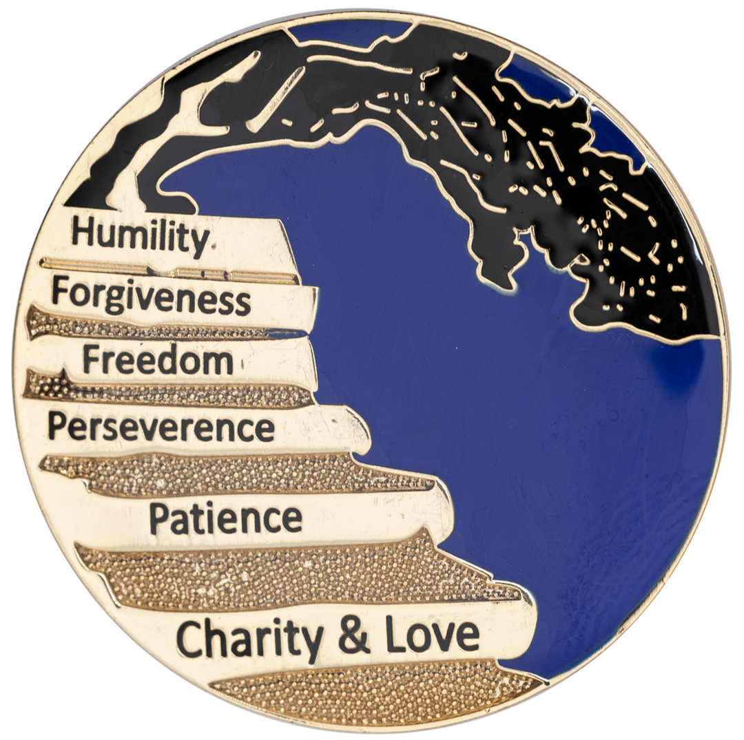 Wisdom Tree Recovery Coin - Recovery Medallion from Choices Books & Gifts