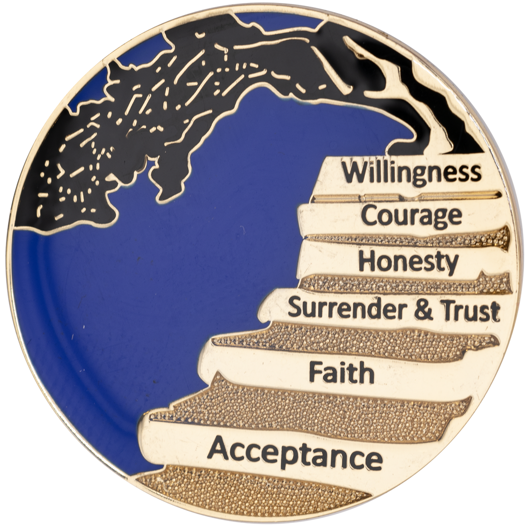 Wisdom Tree Recovery Coin - Recovery Medallion from Choices Books & Gifts