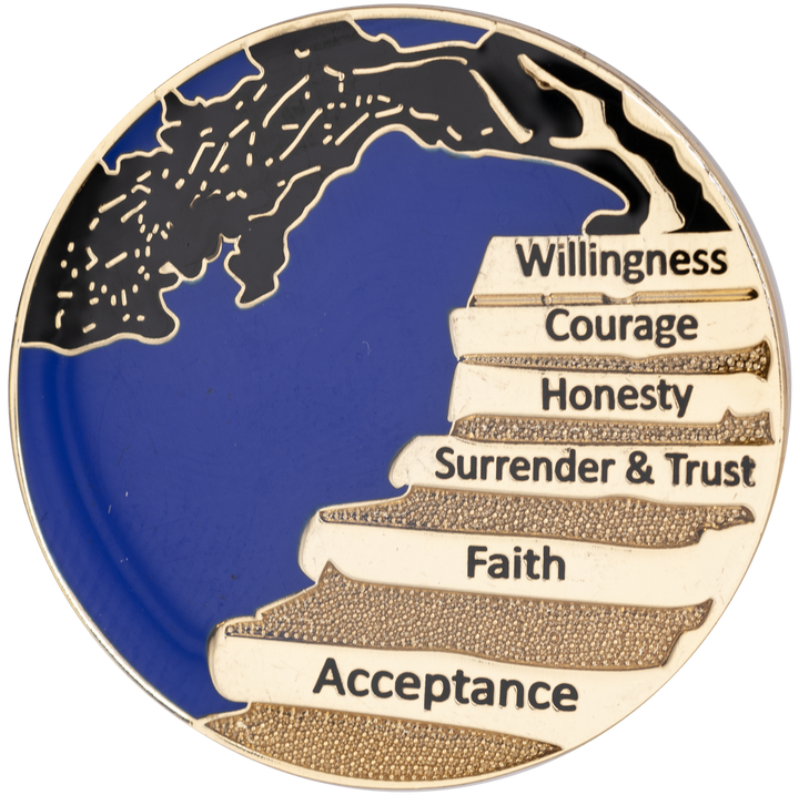 Wisdom Tree Recovery Coin - Recovery Medallion from Choices Books & Gifts