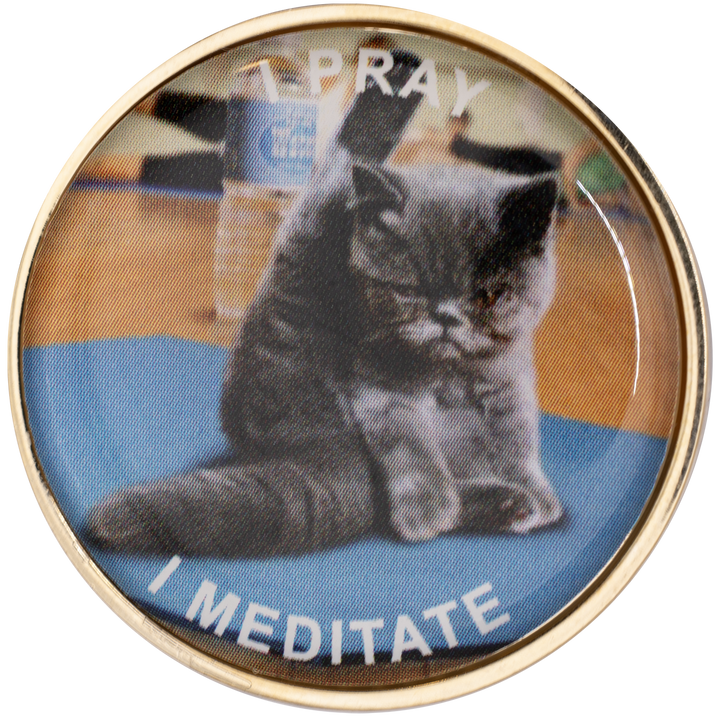 Yoga Cat Medallion - Recovery Medallion from Choices Books & Gifts