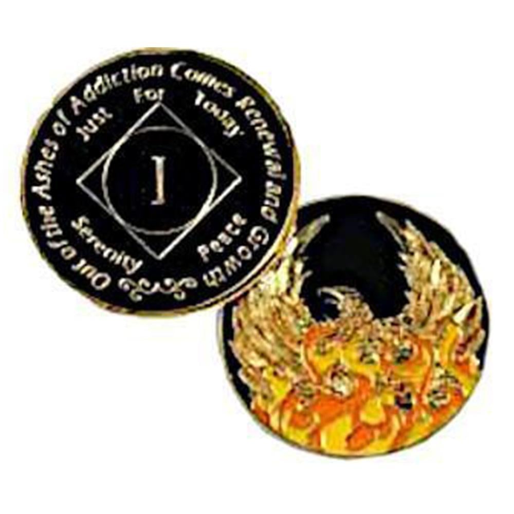 #Z09. NA Out of Ashes Yearly Medallion (1-45) - Premium Medallions from Choices - Just $13.95! Shop now at Choices Books & Gifts