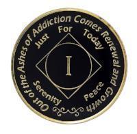 #Z09. NA Out of Ashes Yearly Medallion (1-45) - Premium Medallions from Choices - Just $13.95! Shop now at Choices Books & Gifts