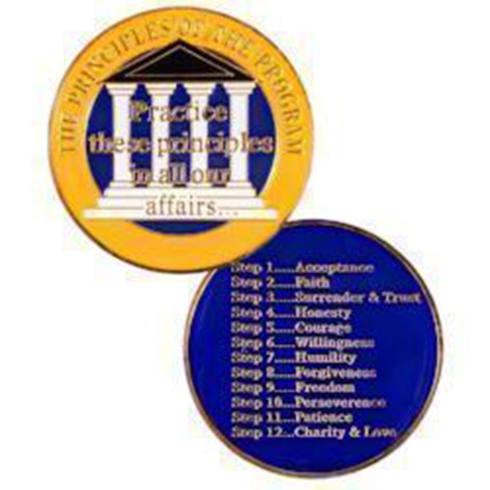 #Z31. Principles Medallion, Yellow Blue Pillar Coin - Premium Medallions from Choices - Just $13.95! Shop now at Choices Books & Gifts