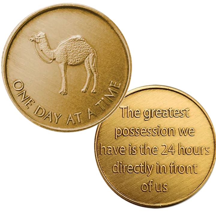Z69.  Camel‚ One Day at a Time Greatest Possession Bronze Coin.  BRM60