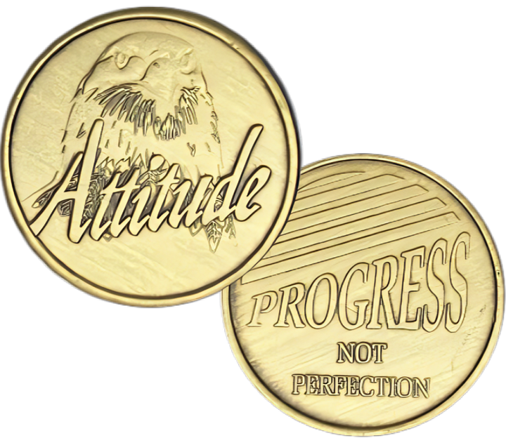 Z92.  Progress Not Perfection Bronze Coin.  BRM144