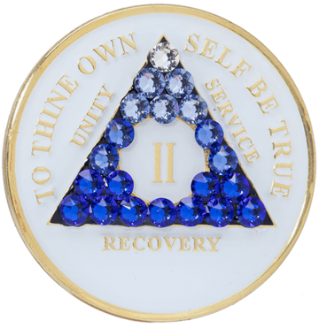 #a04. AA Glow n Dark w Blue Transition (1-65) - Premium Medallions from Choices - Just $21.95! Shop now at Choices Books & Gifts