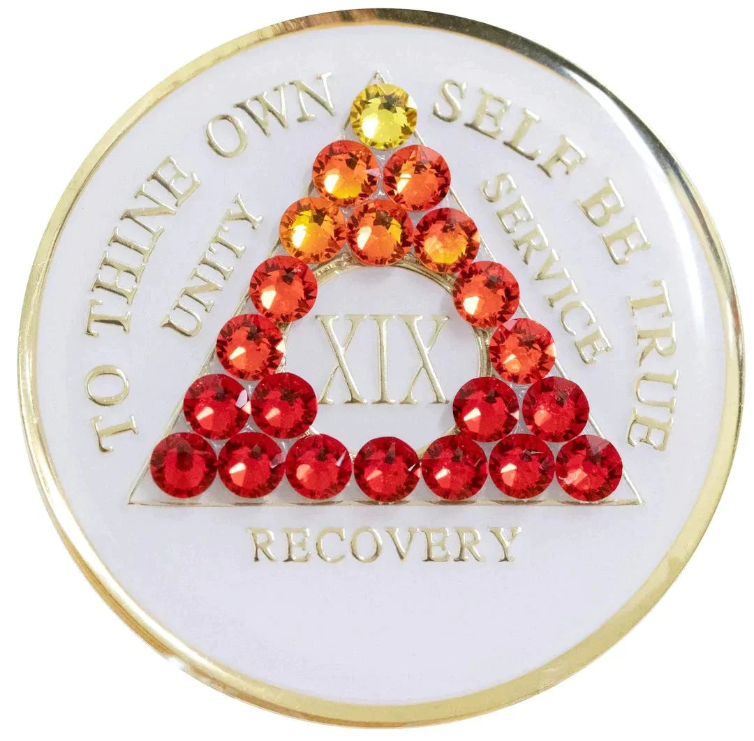 #a05. AA Medallion GLOW in Dark w Red Trans(Yrs 1-65) - Premium Medallions from Choices - Just $21.95! Shop now at Choices Books & Gifts