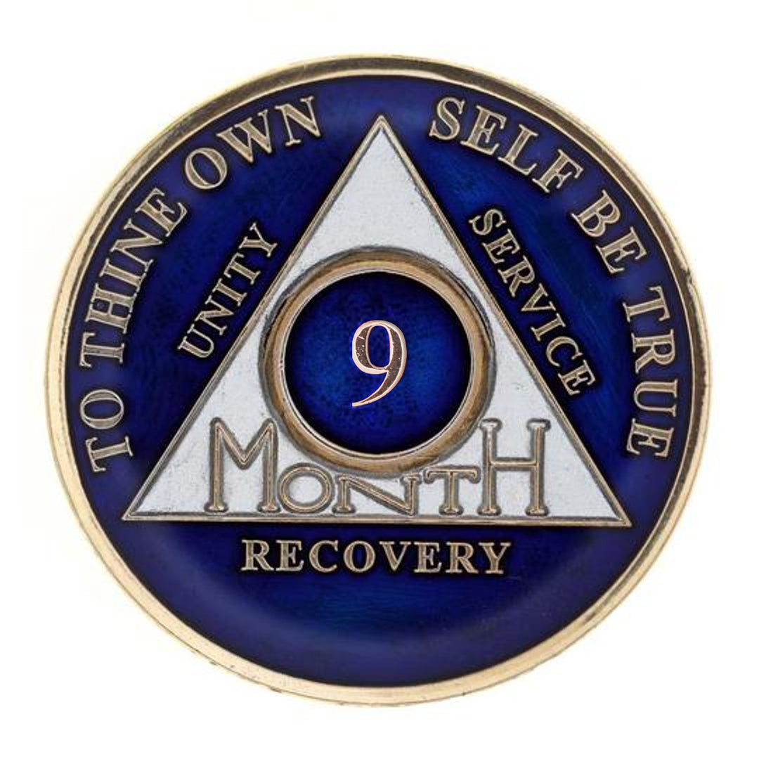 #aa118a. AA Medallion 24Hr, 1 Mo, 3 Mo, 6 Mo, 18 Months