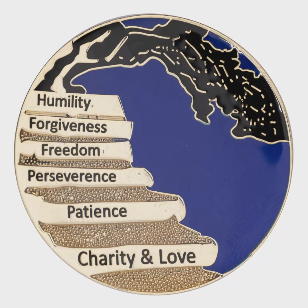 Wisdom Tree Recovery Coin #Z31