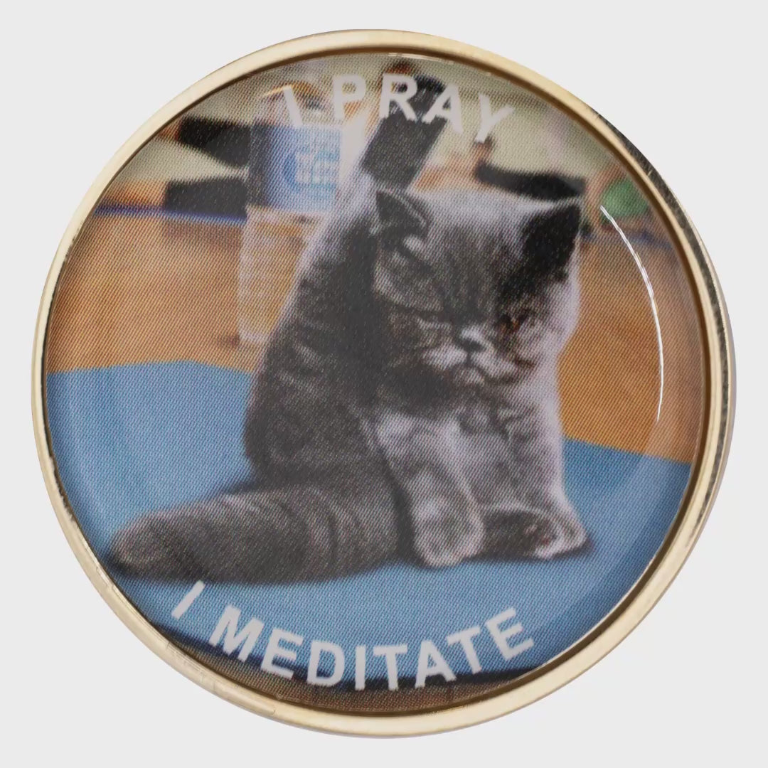 Yoga Cat recovery medallion spinning to show front and back