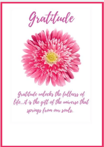 90. Gratitude, Pink Flower Card. D10 - Premium Cards from Choices - Just $2.95! Shop now at Choices Books & Gifts
