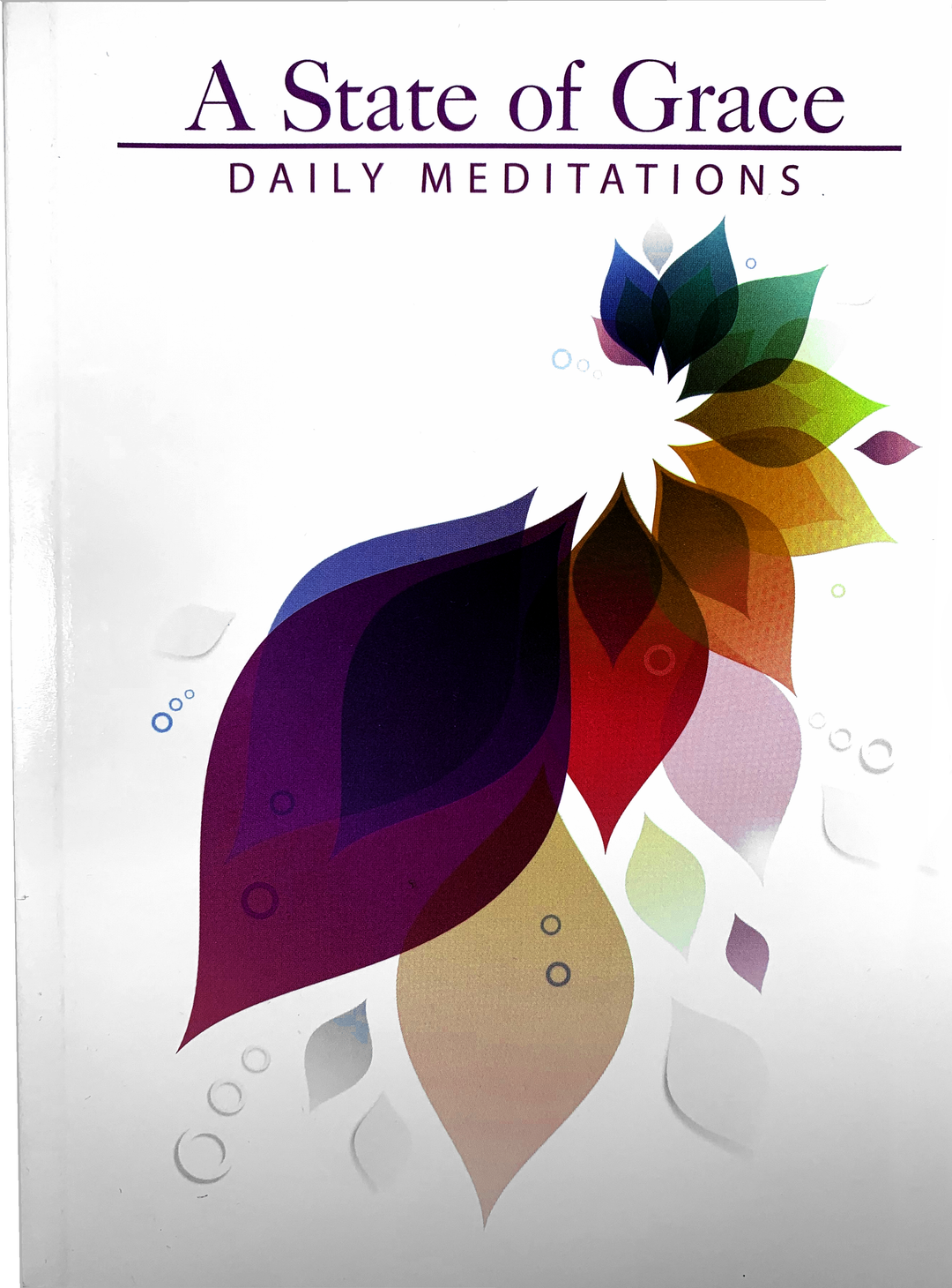 A State of Grace: Daily Meditations - Softcover Edition - Premium Books from Zaibi - Just $21.95! Shop now at Choices Books & Gifts