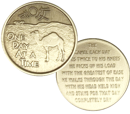 C11. Camel Desert, w Camel Story on back, Bronze Coin.  BRM47 - Premium Medallions from Wendells - Just $2.50! Shop now at Choices Books & Gifts