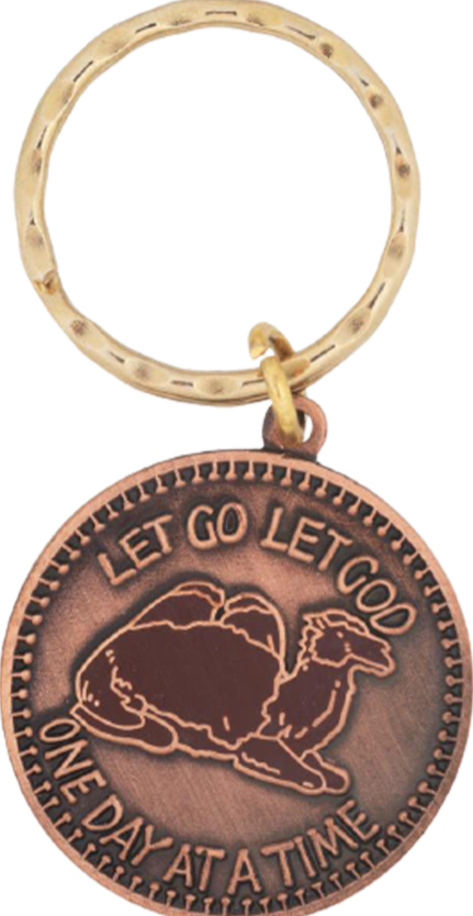 G070. Key Chain:  Let Go Camel One Day At A Time Keychain - Premium Gifts from Pins N Gifts - Just $7.95! Shop now at Choices Books & Gifts