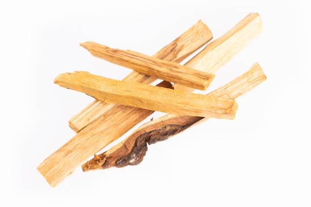 G129. Palo Santo - Premium Gifts from Abbey Press - Just $3.95! Shop now at Choices Books & Gifts