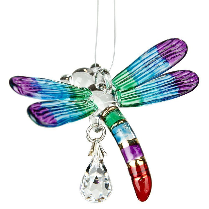 G191. Crystal Fantasy Glass - Dragonfly, Rainbow.  CDRAI - Premium Gifts from Woodstock Percussions - Just $29.95! Shop now at Choices Books & Gifts