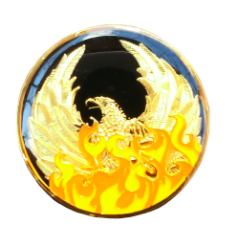 #N66. NA Out of the Ashes Phoenix Coin w or w/out NA symbol - Premium Medallions from Choices - Just $13.95! Shop now at Choices Books & Gifts