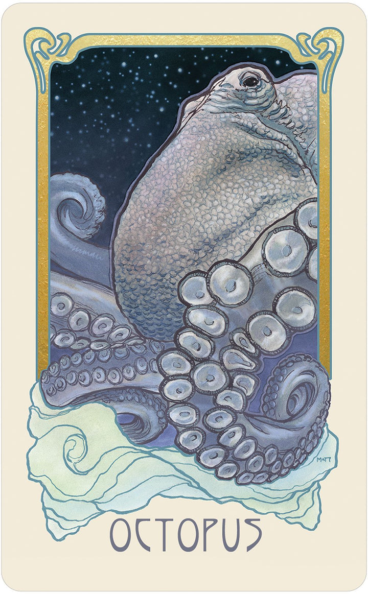 Tarot: Dreamscape Oracle - Choices Books & Gifts