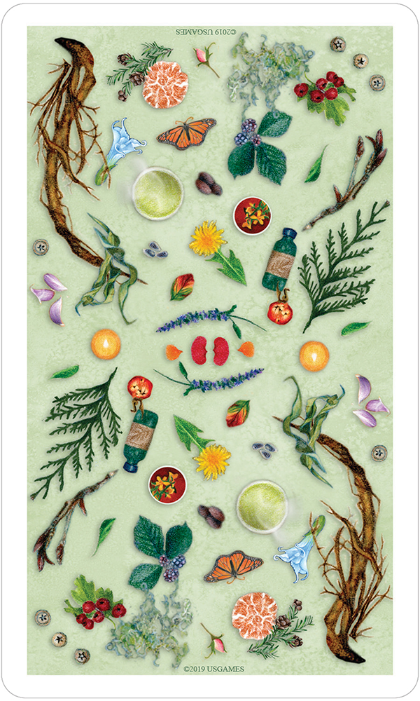 Tarot: Herbcrafter’s Tarot - Premium Gifts from U.S. GAMES SYSTEMS, INC. - Just $23.95! Shop now at Choices Books & Gifts