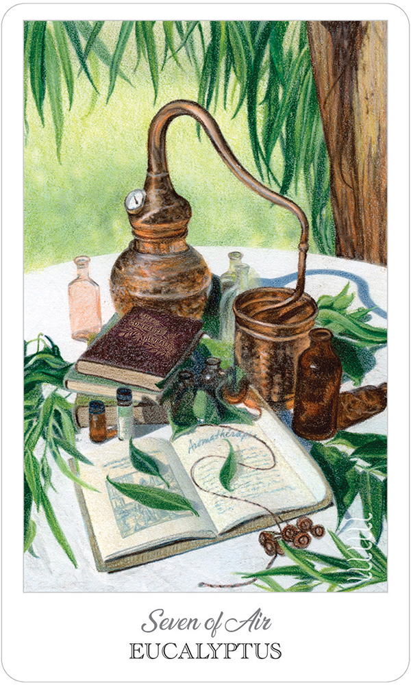 Tarot: Herbcrafter’s Tarot - Premium Gifts from U.S. GAMES SYSTEMS, INC. - Just $23.95! Shop now at Choices Books & Gifts
