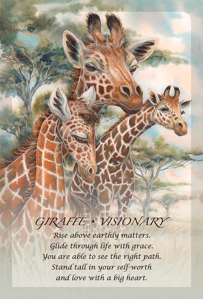 Tarot: Spirit Of The Animals Oracle - Premium Gifts from U.S. GAMES SYSTEMS, INC. - Just $23.95! Shop now at Choices Books & Gifts
