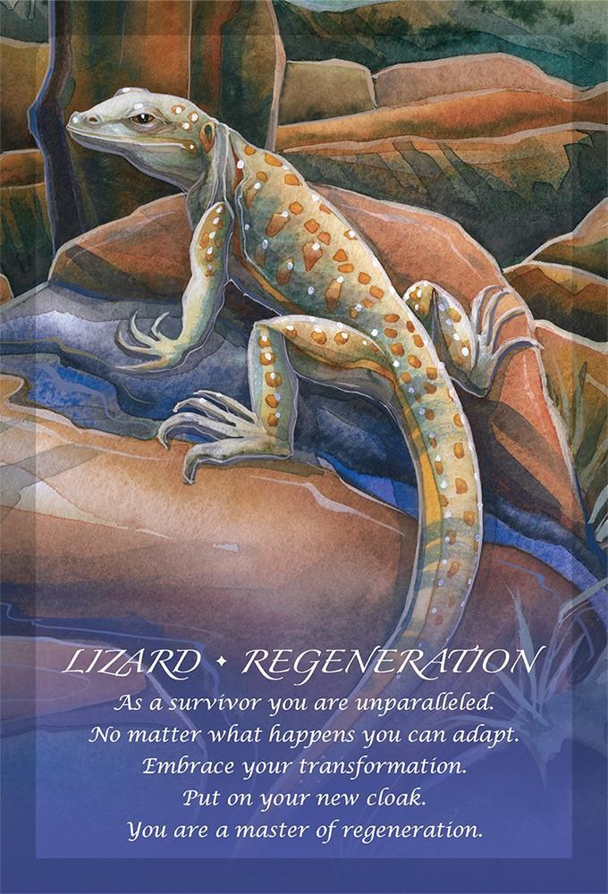 Tarot: Spirit Of The Animals Oracle - Premium Gifts from U.S. GAMES SYSTEMS, INC. - Just $23.95! Shop now at Choices Books & Gifts