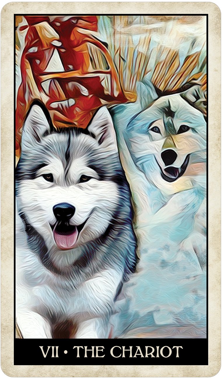 Tarot: Wise Dog Tarot - Premium Gifts from U.S. GAMES SYSTEMS, INC - Just $22.95! Shop now at Choices Books & Gifts