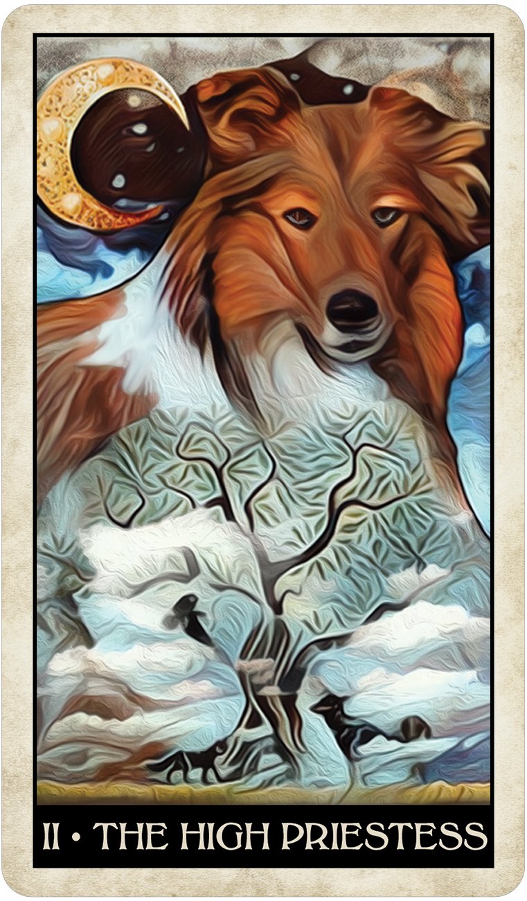 Tarot: Wise Dog Tarot - Premium Gifts from U.S. GAMES SYSTEMS, INC - Just $22.95! Shop now at Choices Books & Gifts
