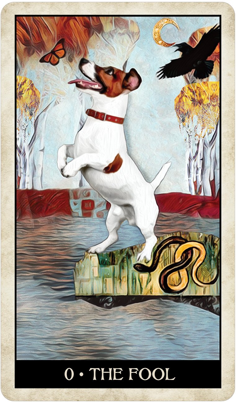 Tarot: Wise Dog Tarot - Premium Gifts from U.S. GAMES SYSTEMS, INC - Just $22.95! Shop now at Choices Books & Gifts