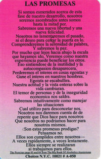 Wallet card: Las Promesas - Premium Gifts from Love Unlimited - Just $1.25! Shop now at Choices Books & Gifts